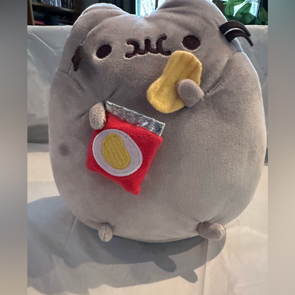 Pusheen with Chips Plush
